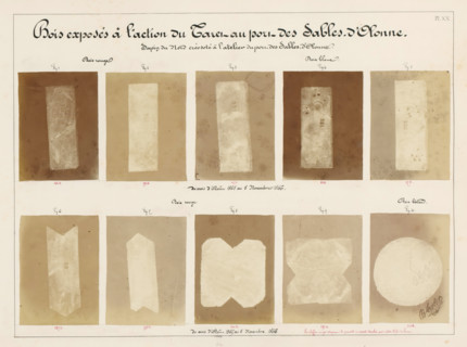 Ten pieces of wood affected by worms, from the port of Les Sables-d'Olonne, France, Bois exposés à