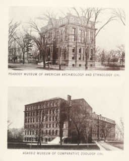 Peabody Museum of American Archeology and ethnology, Agassiz Museum of Comparative Zoology, page,