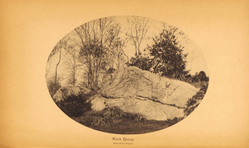 Rock group, page, photomechanical print, Central Park (New York), c. 1866 - in or before 1871,