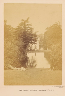 The Upper Pleasure Grounds, View of a sunbathing lawn in Moor Park in Rickmansworth, photograph,