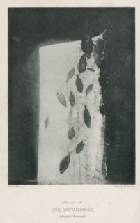 Vue Instantanée, Pisces, page, photomechanical print, inscription: 'Librairie C. Reinwald', number: