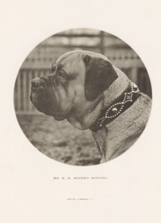 Mr. EH Moore's Minting, Bulldog, page, photomechanical print, cliché maker: Edward Bierstadt, New