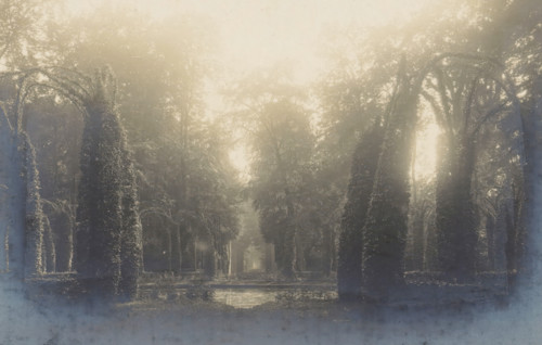 View of trees surrounding a water, Le Bassin des Dames, photograph, page, photographer: