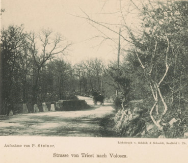 View of a horse-drawn cart on a path, Strasse von Triest nach Volosca, page, photomechanical print,