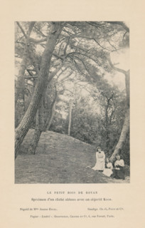 Three women in the forest of Royan, France, Le Petit Bois de Royan, page, photomechanical print,