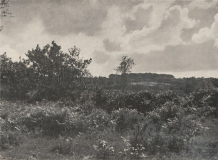 Breton landscape, Lande Bretonne, page, photomechanical print, photographer: Constant Puyo,