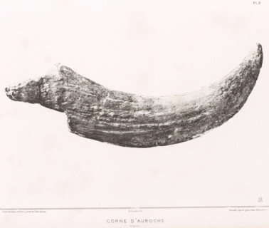Aurochs horn, CORNE D'AUROCHS 1, 2 nature, page, photomechanical print, monogram: 'AB', number: 'Pl