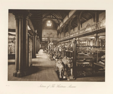 Room with skeletons and stuffed animals in the Hunterian Museum, Interior of The Hunterian Museum,