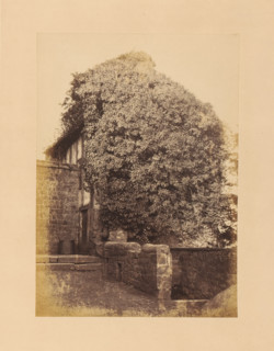 View of the Ivy Tower at Leeds Castle, photograph, page, inscription: 'No.8.', photographer: John