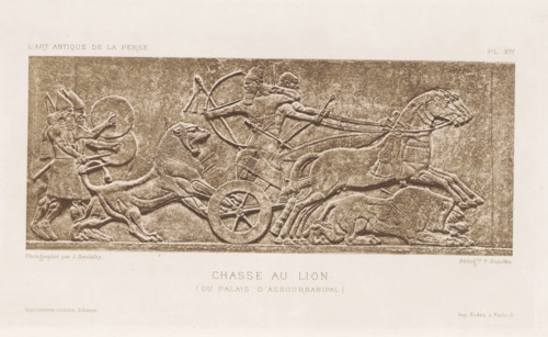 Relief of a lion hunt at the palace of Assurbanipal in Babylon, Chasse au Lion (du Palais