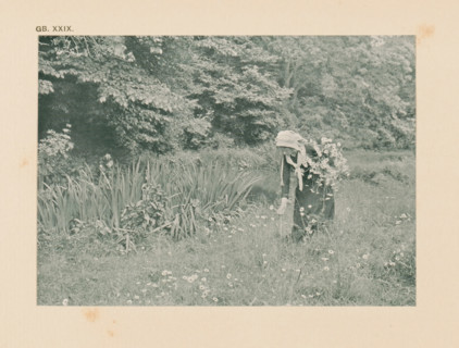 Woman picking flowers in a meadow, page, photomechanical print, inscription: 'Summer landscape by