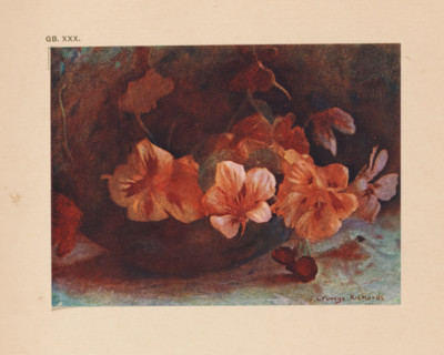 Flower still life of nasturtiums, page, photomechanical print, inscription: 'Nasturtiums by J.