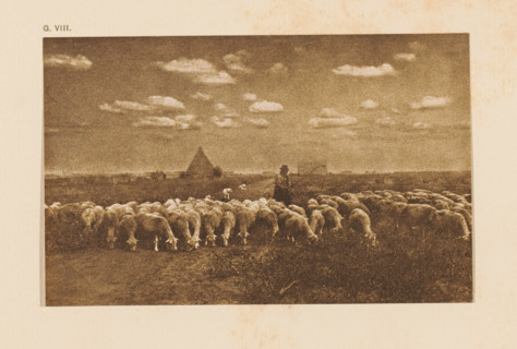 Shepherd in Campagna, page, photomechanical print, inscription: 'Flock of sheep in the Campagna by