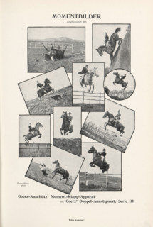 Collage of eight images of jumping horses with riders, page, photomechanical print, inscription: