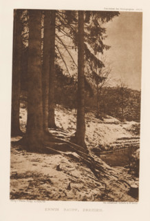 Winter landscape with trees, page, photomechanical print, inscription: 'Das Atelier des