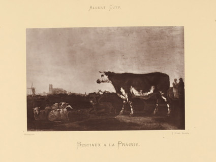 Bestiaux a la Prairie, Reproduction of a painting of cows and sheep by Aelbert Cuyp, reproduction,