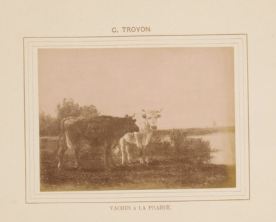 Vaches à la prairie, Photo reproduction of Vaches à la prairie by Constant Troyon, photograph,