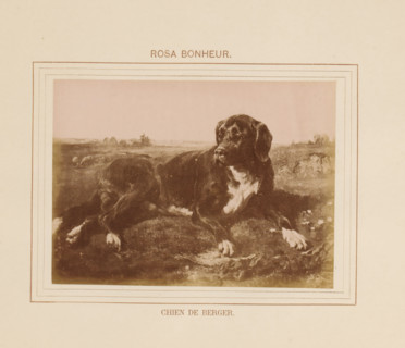 Photo reproduction of Chien de Berger by Rosa Bonheur, Chien de Berger, photograph, reproduction,