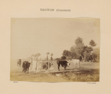 Photo reproduction of Bestiaux au pâturage by Constant Troyon, Troyon (Constant), photograph,