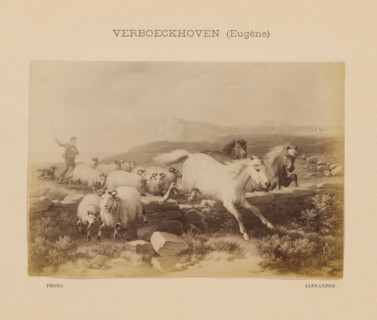 Photo reproduction of Troupeau sautant une Barrier by Eugène Verboeckhoven, Verboeckhoven (Eugène),