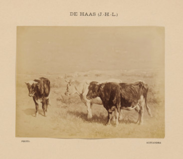 De Haas (J.-H.-L.), Photo reproduction of Bestiaux au pâturage by Johannes Hubertus Leonardus de