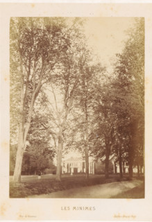 Les Minimes, Avenue in the Bois de Vincennes, Bois de Vincennes, photograph, page, photographer: