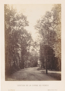 Walking path in the Bois de Vincennes, Sentier de la combe au pendu, Bois de Vincennes, photograph,