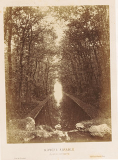 River in the Bois de Vincennes, Rivière aimable (partie couverte), Bois de Vincennes, photograph,
