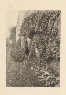 Curé de Bénizou, book, photographer: Henri Magron, writer (clerical worker): Georges de Cavilly,