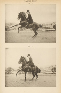 Two men on horses in motion, page, photomechanical print, number: 'Planche XXXV Fig. 1. Fig. 2.',
