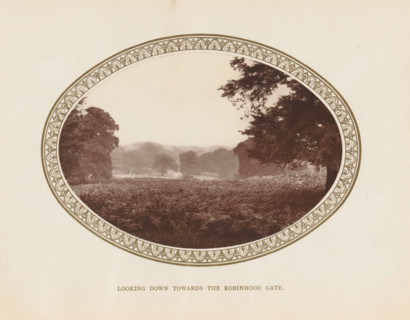 Looking down towards the Robinhood Gate, View of Richmond Park, page, photomechanical print,