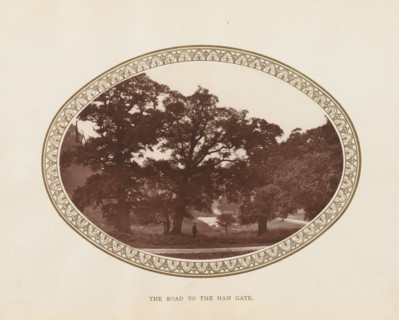 View of a road and trees in Richmond Park, The road to the Ham Gate, page, photomechanical print,