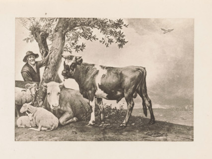 Photo reproduction of the painting The Bull, reproduction, page, photomechanical print, title: