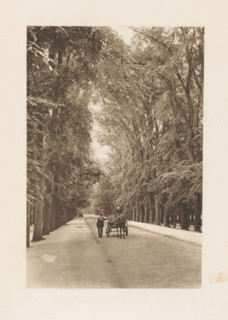 Carriage on the access road to Huis ten Bosch Palace in The Hague, page, photomechanical print,