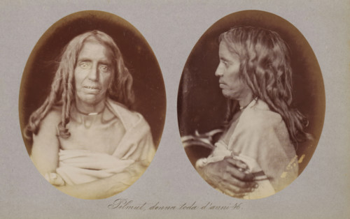 Two portraits of Pilmut of the Toda tribe, Pilmut, donna toda d'anni 46, photograph, page,