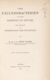 Other Fäulnissbacterien und deren Beziehungen zur Septicämie and Beitrag zur Morphologie der