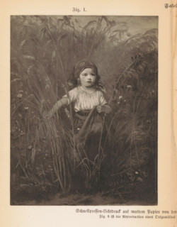 Photo reproduction of a painting, depicting a girl among bushes, reproduction, page,