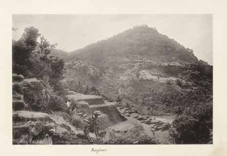 Rice fields, page, photomechanical print, inscription: 'Rizières', maker: Henry William Cave,