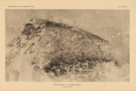Gletscherkorn i et Stykke Kalvis, Ice from a glacier in Greenland, page, photomechanical print,
