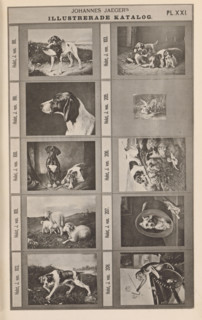 Photo reproduction of ten paintings of animals, Johannes Jaeger's Illustrerade Catalog,