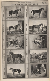 Photo reproduction of ten paintings of horses, Johannes Jaeger's Illustrerade Catalog,