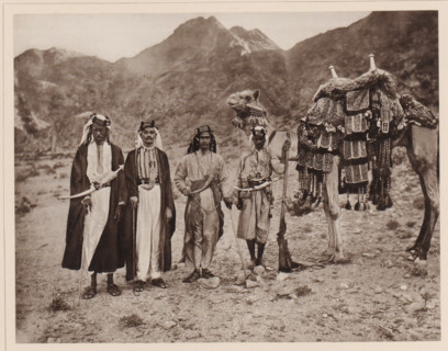 Das Reitkamel (Hèdjin) des Scherif Jahja, eines Sohnes des Scherif Ahmed, dessen Vater der beruhmte
