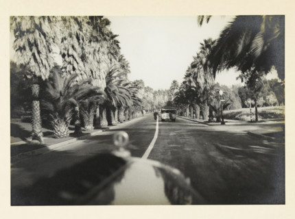 Beverly Hills, Hollywood, California, United States: view from a moving car, Beverij Hills
