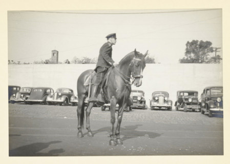 Police officer on horseback, Hoboken pier, New York, United States, Traffic officer in front of the