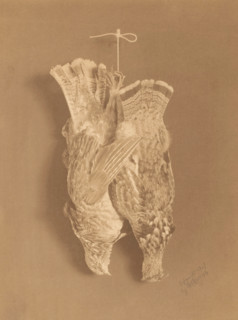 Still life with two collared fowl, hanging on a rope, photograph, copyright notice: 'copyright