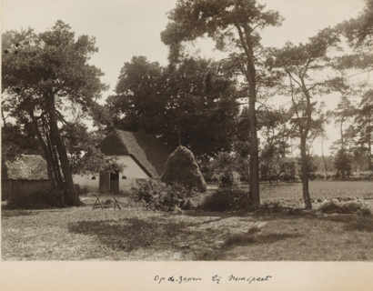 Landscape with a farmhouse on the Zoom near Nunspeet, photograph, title: 'Op de Zoom bij Nunspeet',