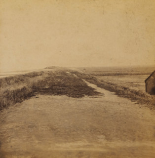 Just wide enough, View of the dune strip near Ter Heijde, Views and landscapes in Europe, Africa