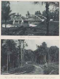 Stabat - Government Bridge (above), Road through the jungle (below), Bridge at Stabat (above) and