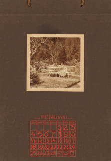 Woman with a cat in her arms on a white bench in a garden, album page, photograph, This photo is