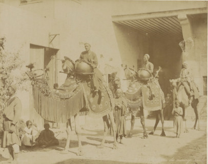 the Arab marriage, Wedding procession with camels in Egypt, photograph, Part of Travel album with